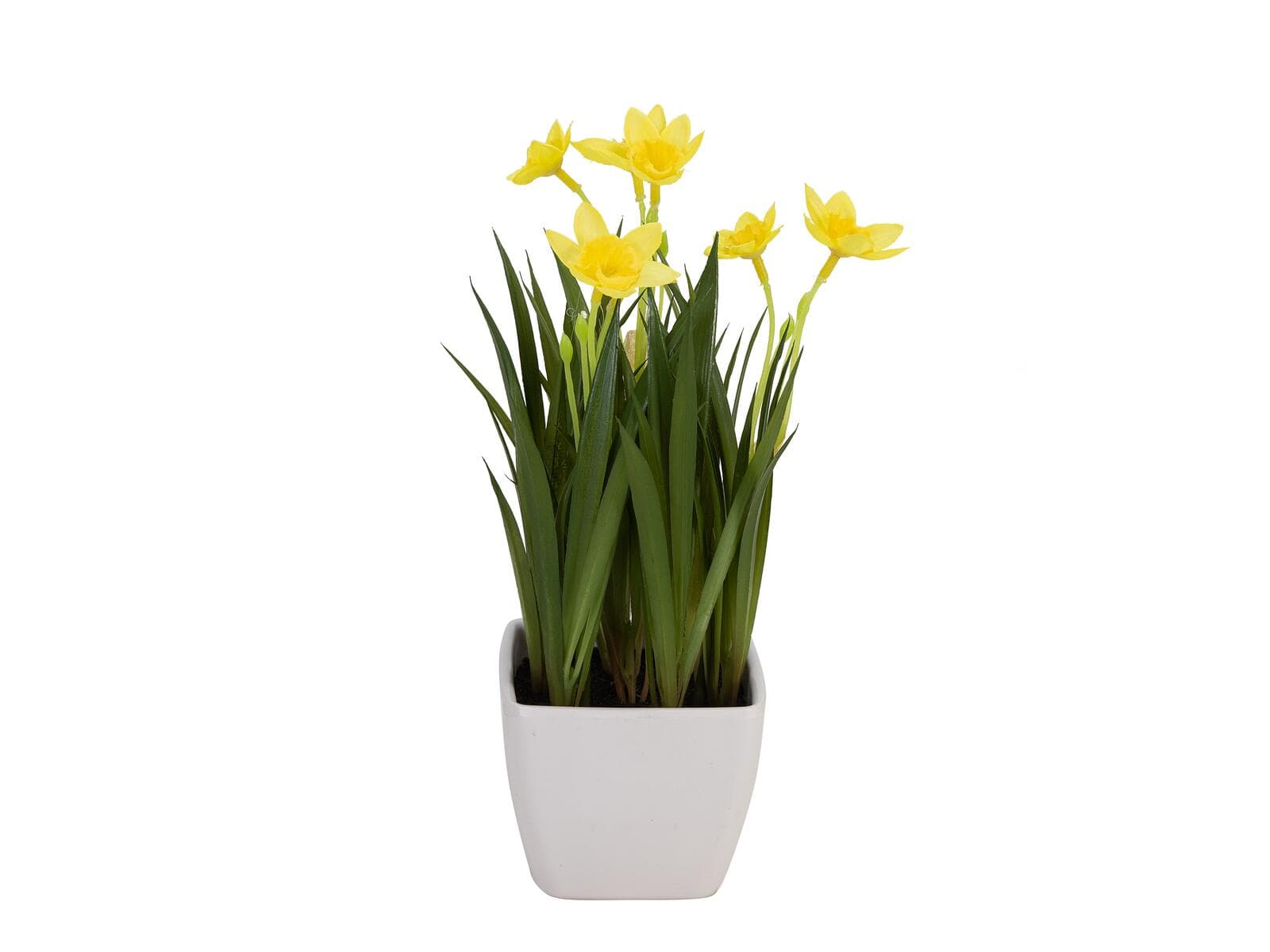 EUROPALMS Narciso, pianta artificiale, 23cm - 82530542