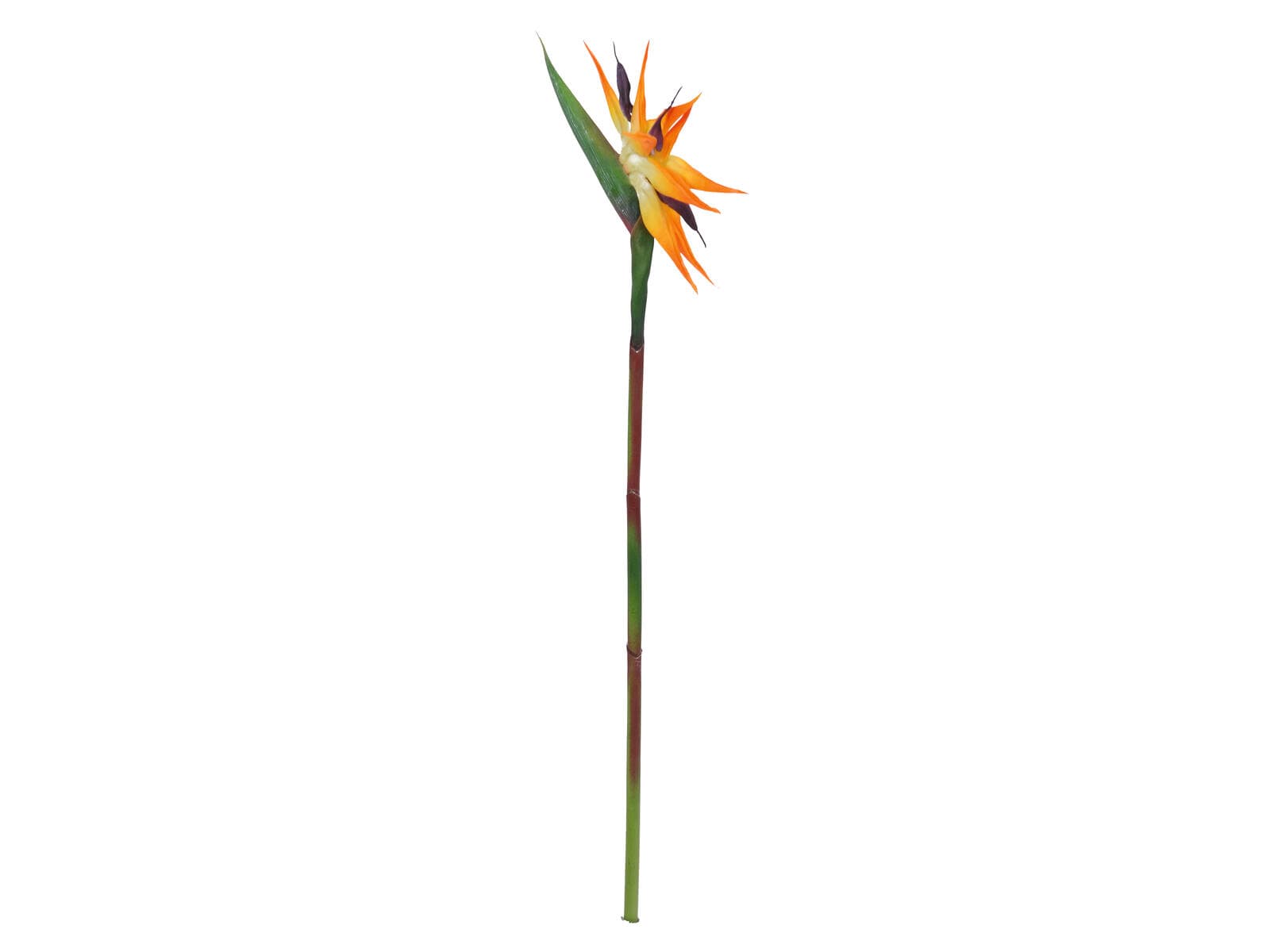 EUROPALMS Strelitzia, pianta artificiale, arancione, 95cm - 82530559
