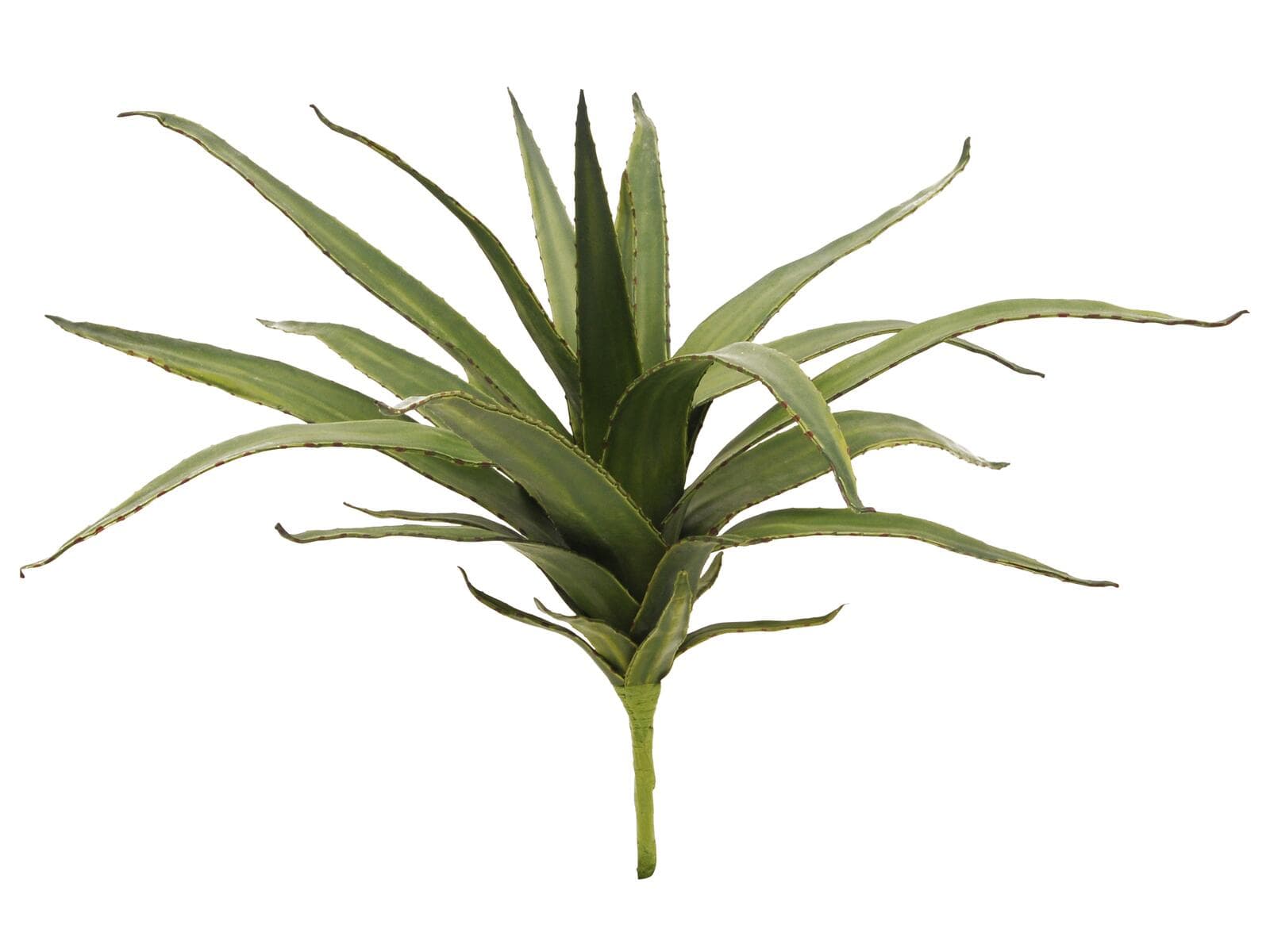 EUROPALMS Aloe (EVA), pianta artificiale, verde, 50cm - 82530570