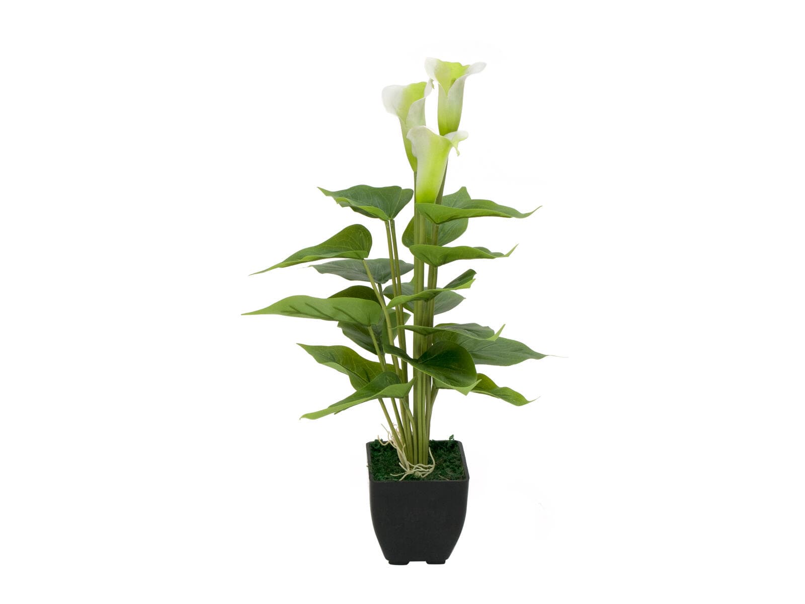 EUROPALMS Mini calla, pianta artificiale, bianca, 43cm - 82540347