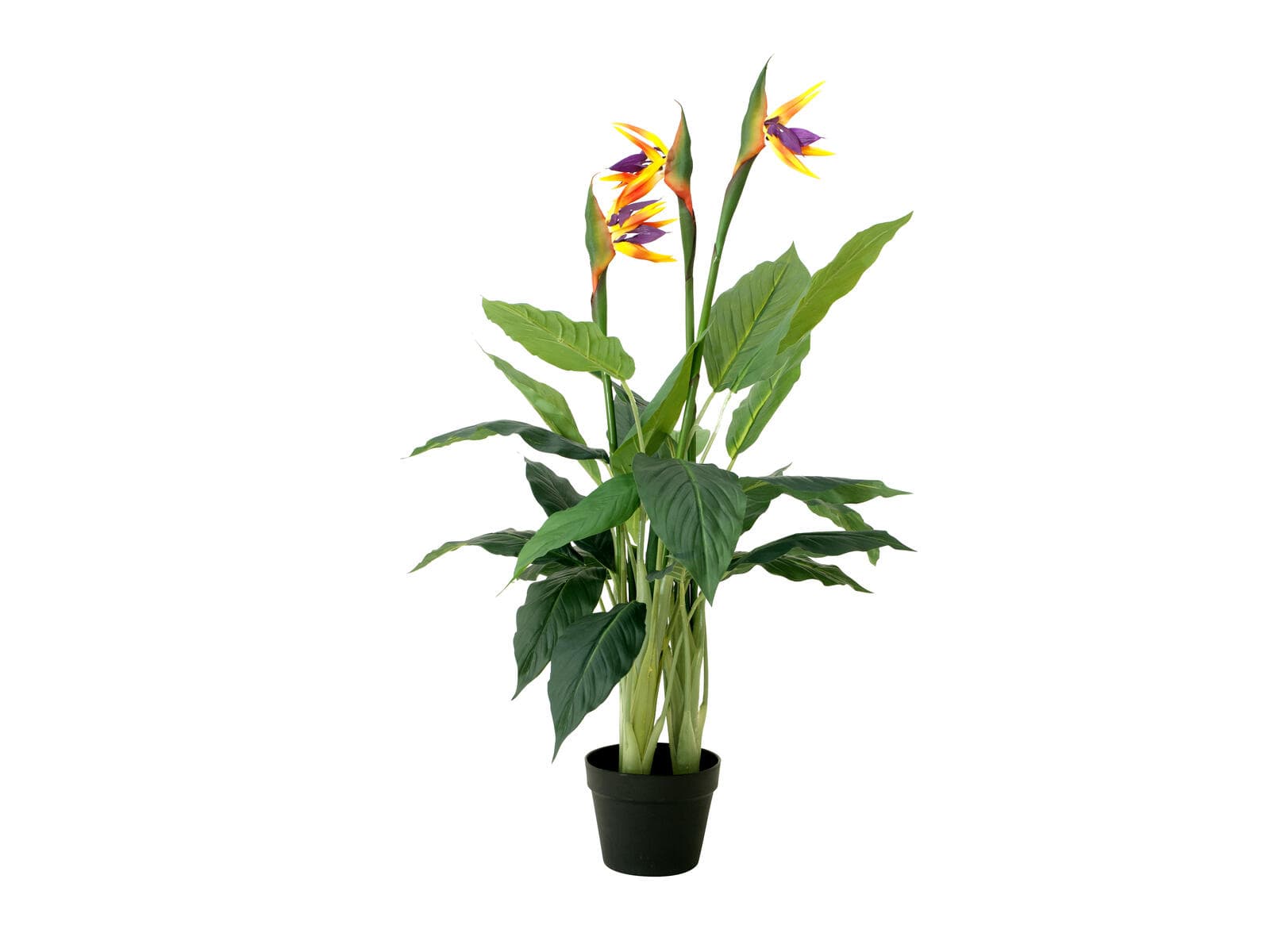 EUROPALMS Fiore di strelitzia, pianta artificiale, 90cm - 82540502