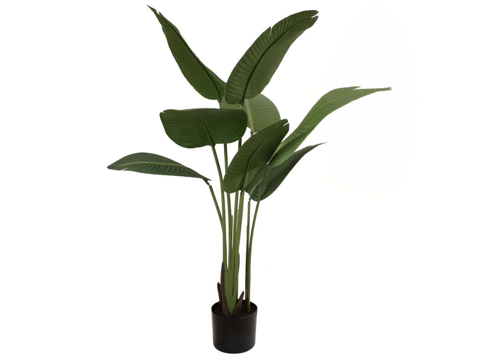 EUROPALMS Strelitzia, pianta artificiale, 110cm - 82540519