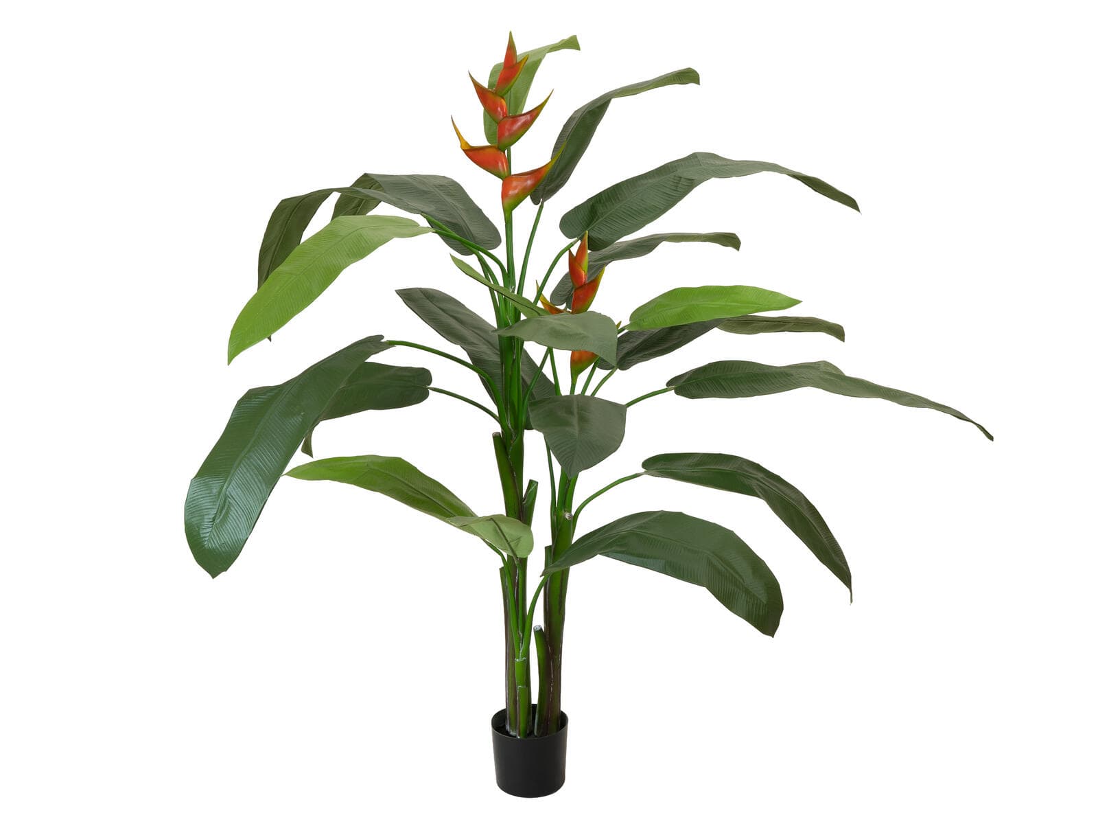 FIRESILX Heliconia, pianta artificiale, Classe B, s2, d0 bassa infiammabilità, 190cm - 82550501