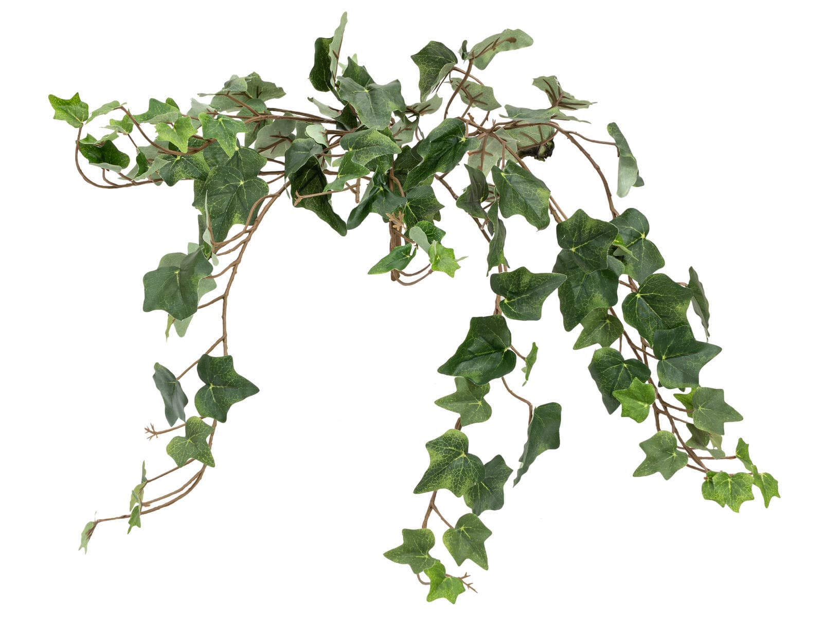 FIRESILX Ramo di edera, artificiale, Classe B, s2, d0 bassa infiammabilità, 60cm - 82552200