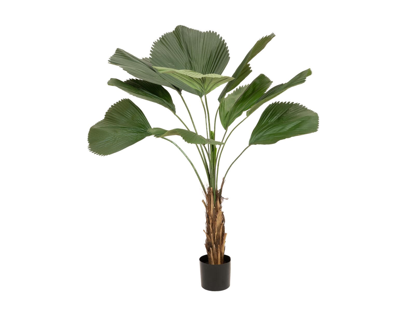 FIRESILX Palma a ventaglio arricciata, artificiale, Classe B, s2, d0 bassa infiammabilità, 140cm - 82558400