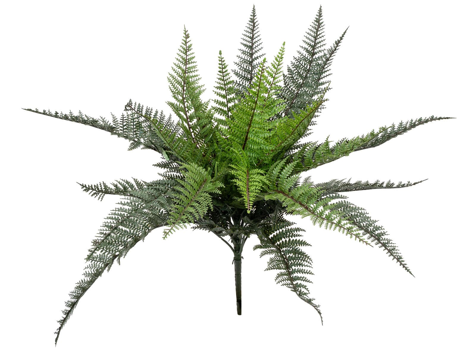 FIRESILX Boston Fern, pianta artificiale, Classe B, s2, d0 bassa infiammabilità, 50cm - 82559941