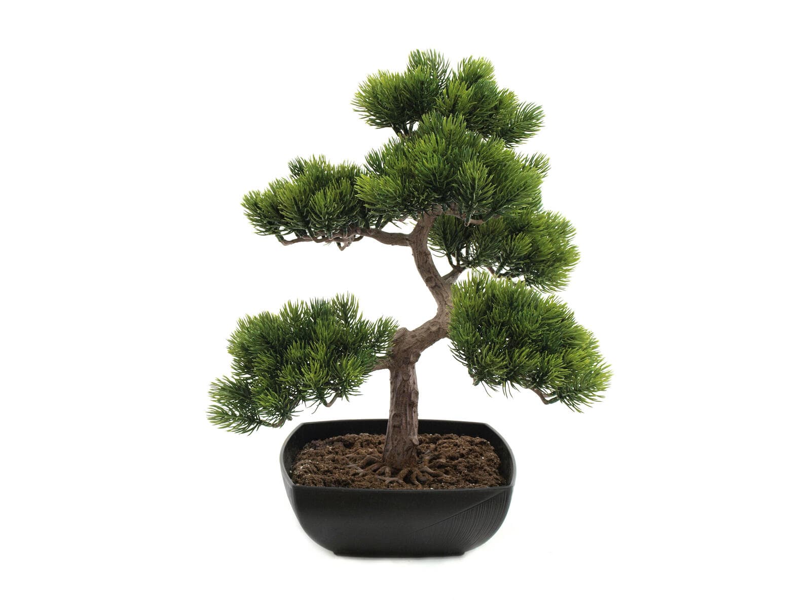 EUROPALMS Bonsai di pino, pianta artificiale, 50cm - 82600110