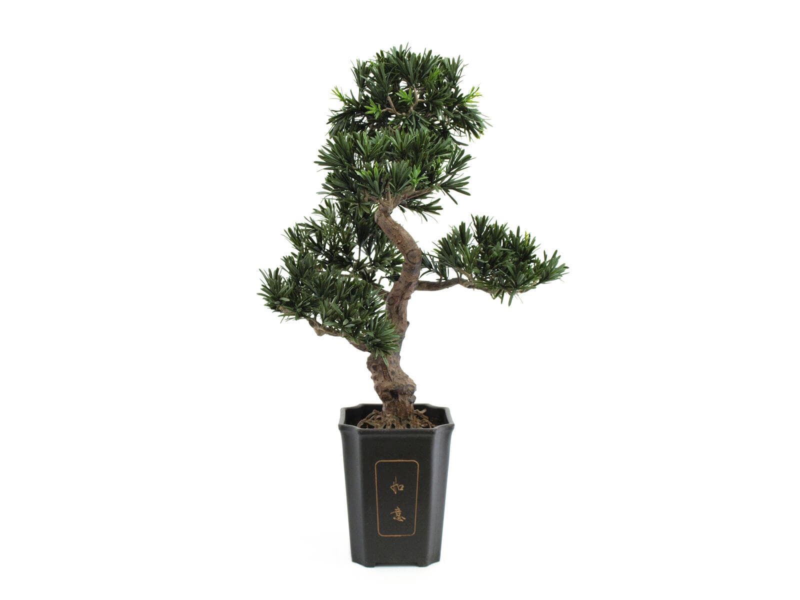 EUROPALMS Bonsai di Podocarpo, pianta artificiale, 80cm - 82600116