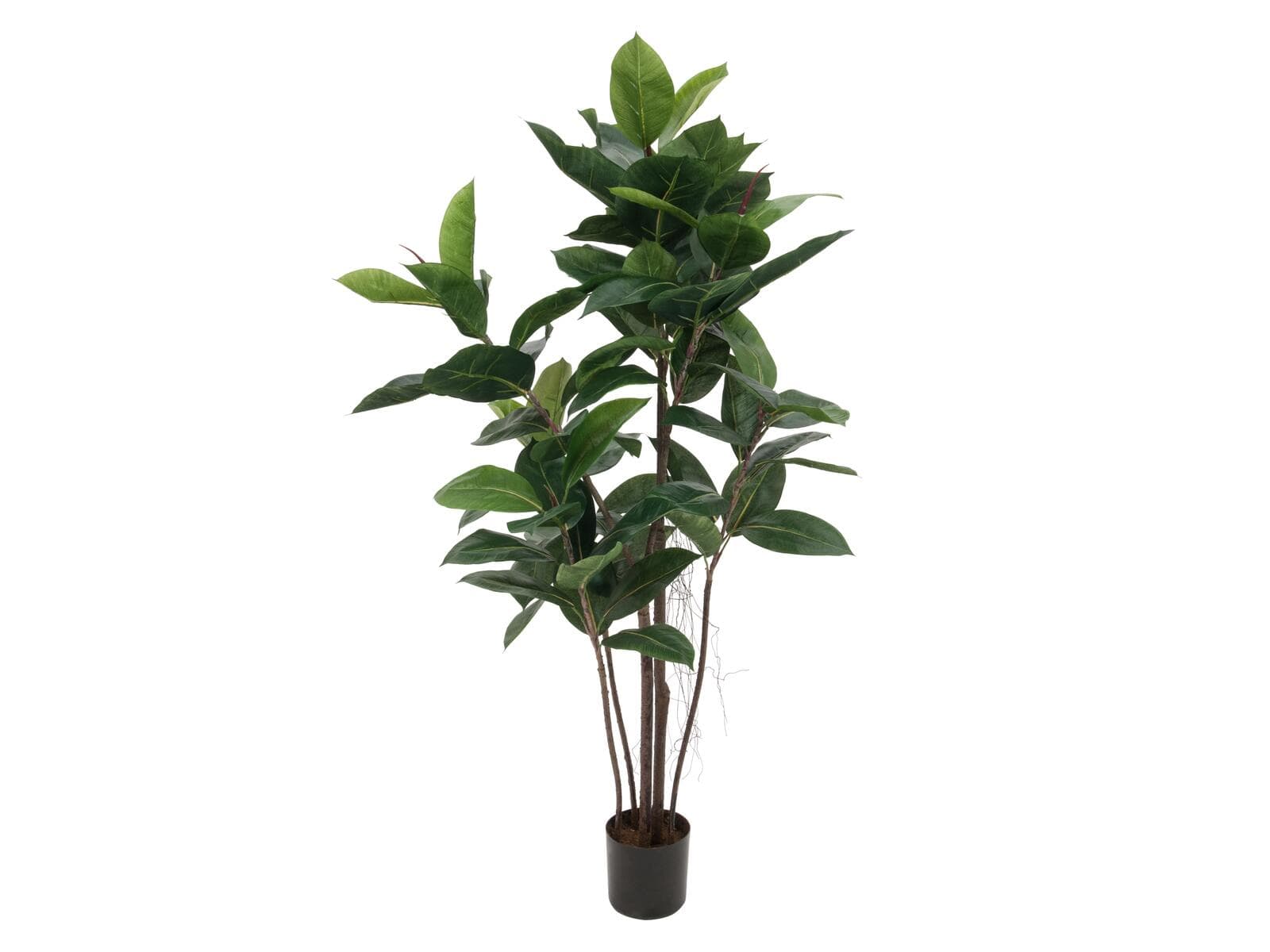 EUROPALMS Ficus elastica, pianta artificiale, 120cm - 82600150