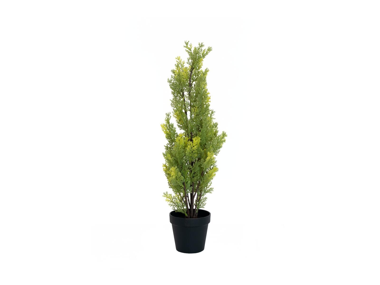 EUROPALMS Cipresso Leyland, pianta artificiale, 60cm - 82606959