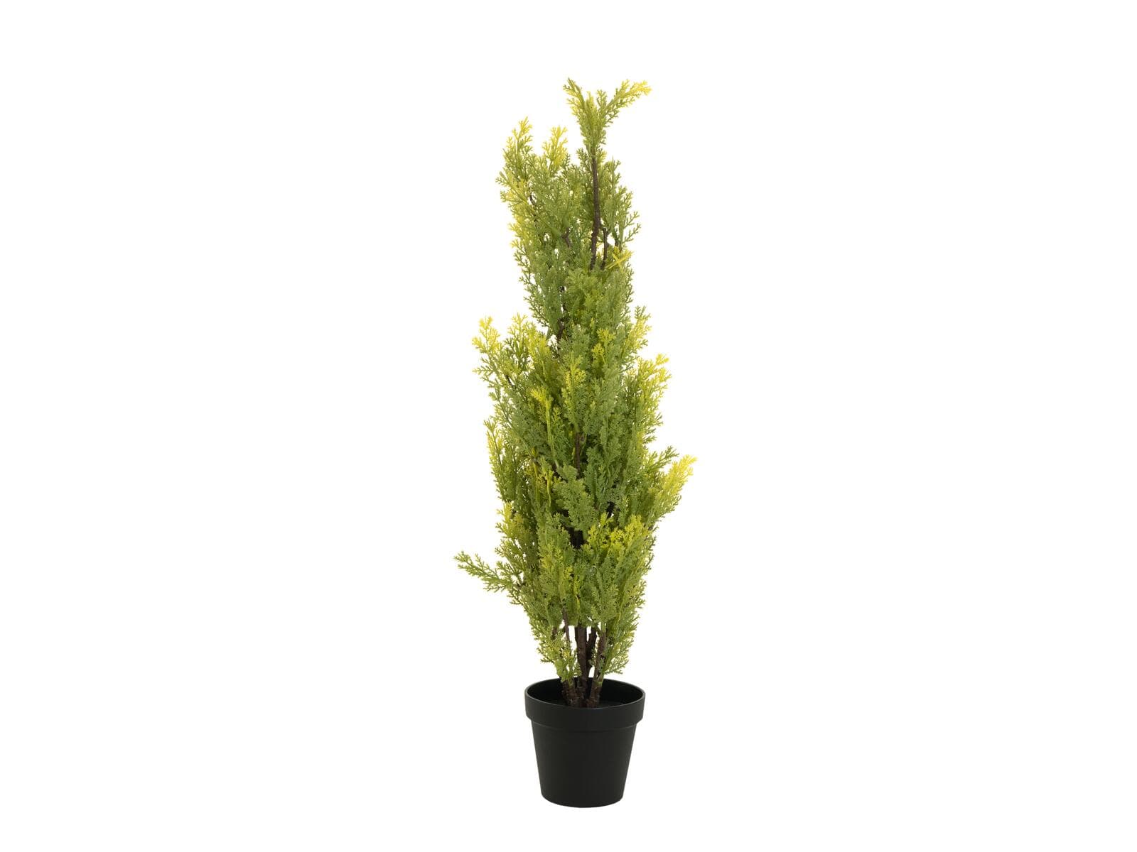 EUROPALMS Cipresso Leyland, pianta artificiale, 90cm - 82606962