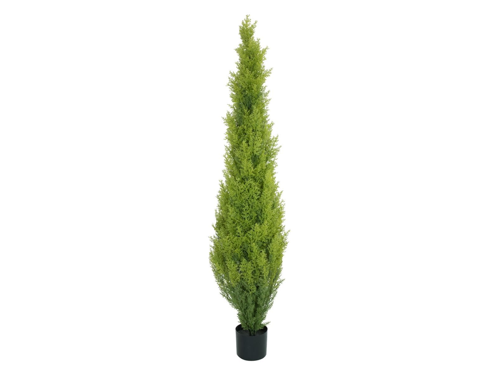 EUROPALMS Cipresso Leyland, pianta artificiale, 120cm - 82606964