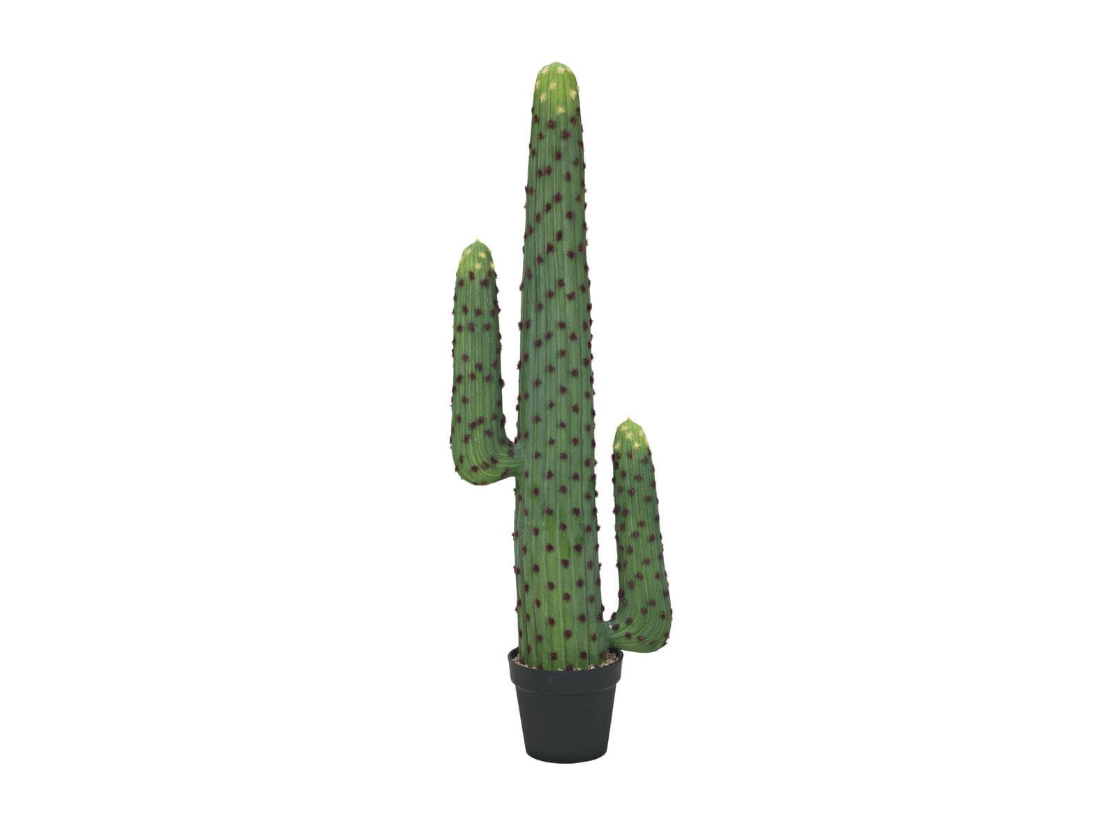 EUROPALMS Cactus messicano, pianta artificiale, verde, 117cm - 82801071