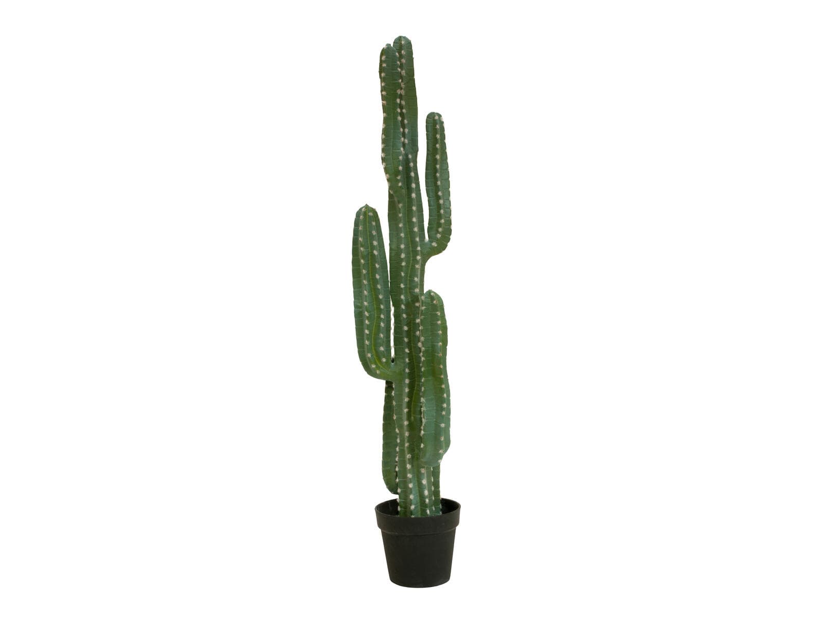 EUROPALMS Cactus messicano, pianta artificiale, verde, 123cm - 82801072