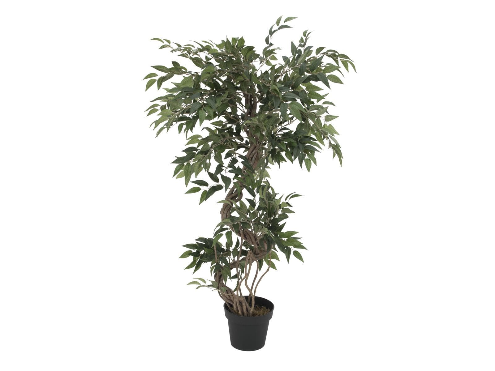EUROPALMS Ficus Multiple Spiral Trunk, pianta artificiale, verde, 130cm - 82806314