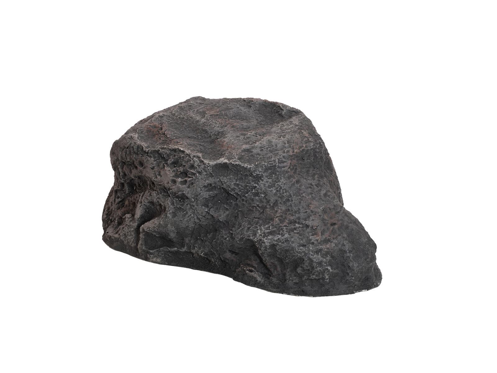 EUROPALMS Roccia artificiale, SHELL - 83313240