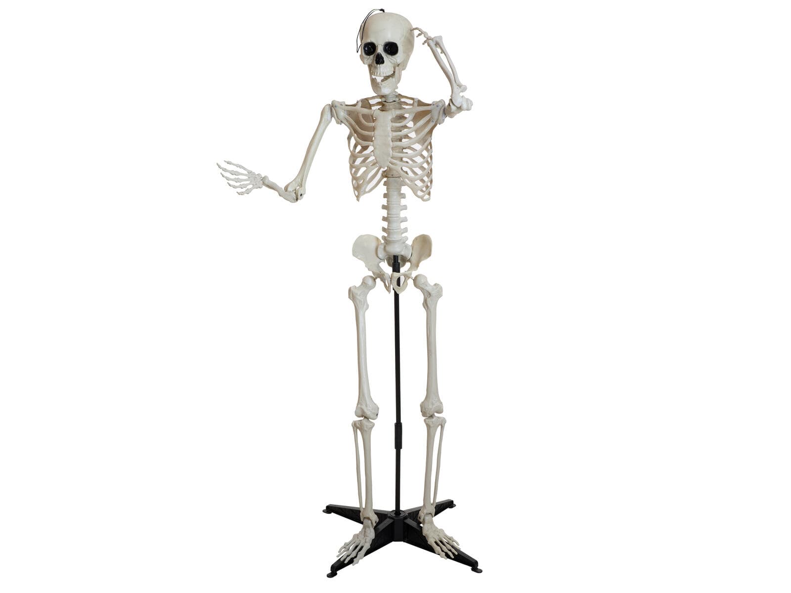 EUROPALMS Halloween Scheletro, da terra, 150 cm - 83316179