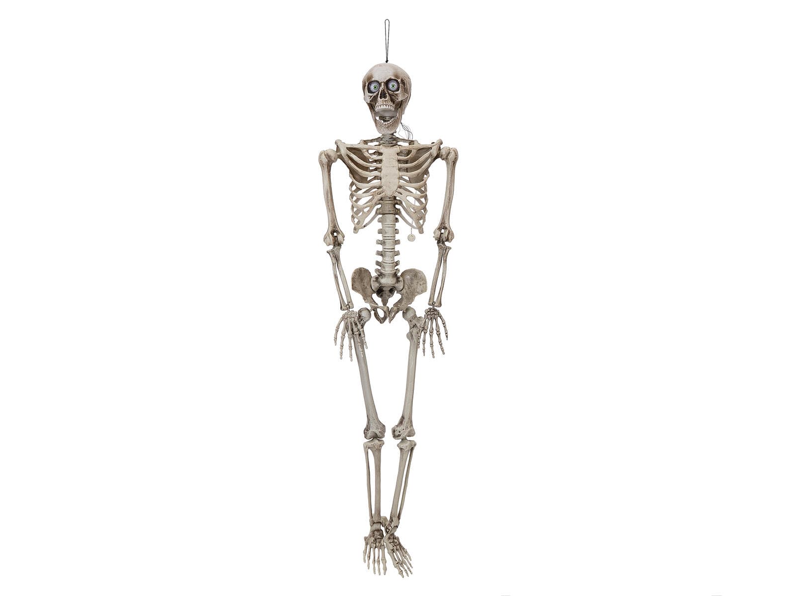 EUROPALMS Figura di Halloween scheletro modellabile, animata, 160cm - 83316186