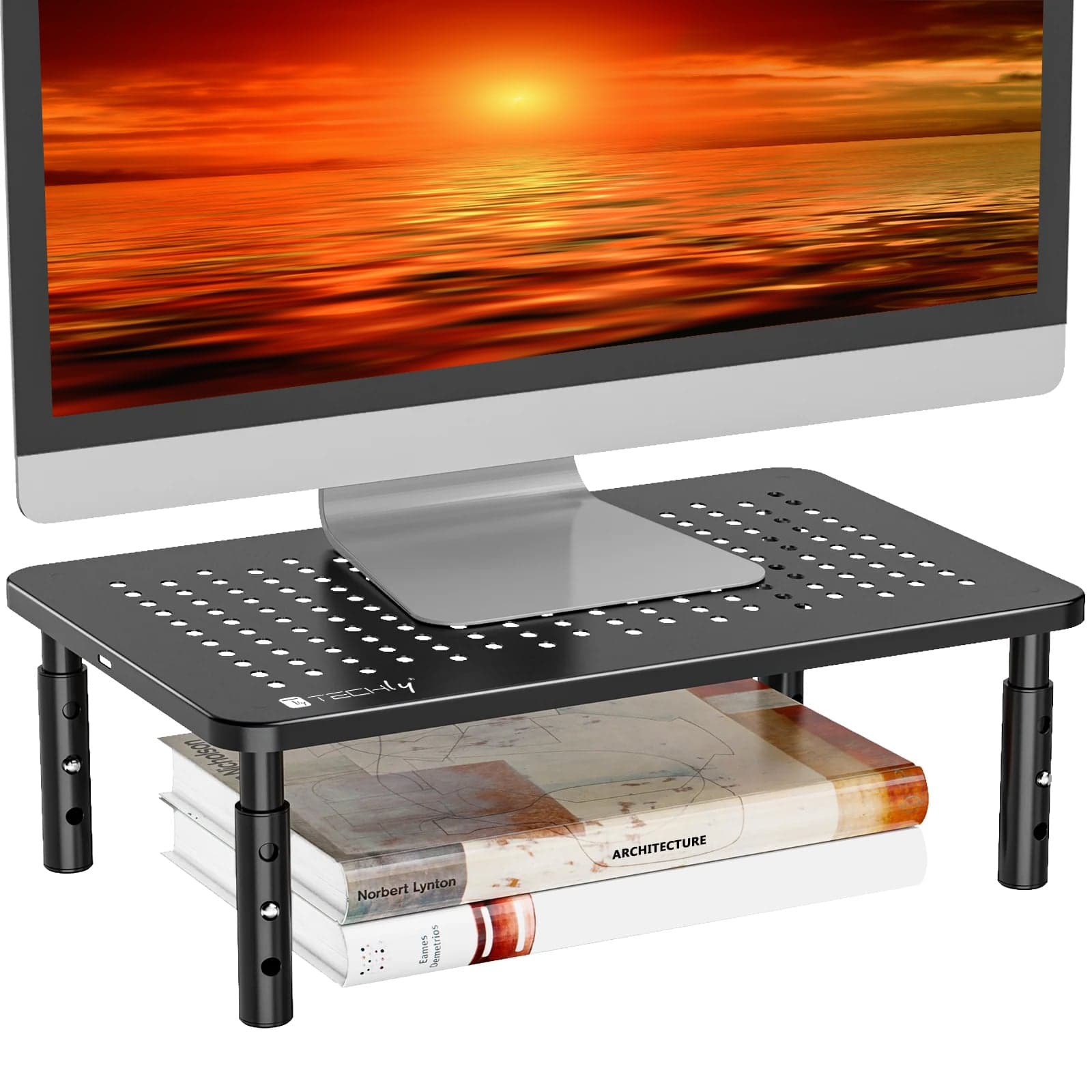 Supporto da Scrivania Ergonomico Regolabile in Altezza Metallo Nero - Techly ICA-MS 481