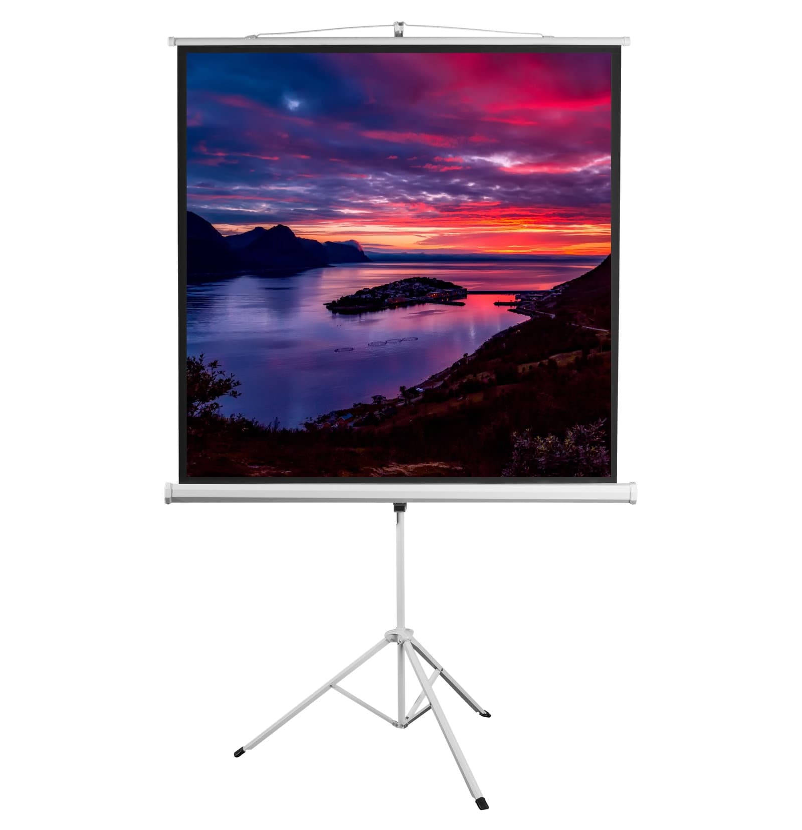 Schermo di Proiezione con Treppiedi 112'' 200x200 cm - Sbox ICA-TP PSMT-112V2