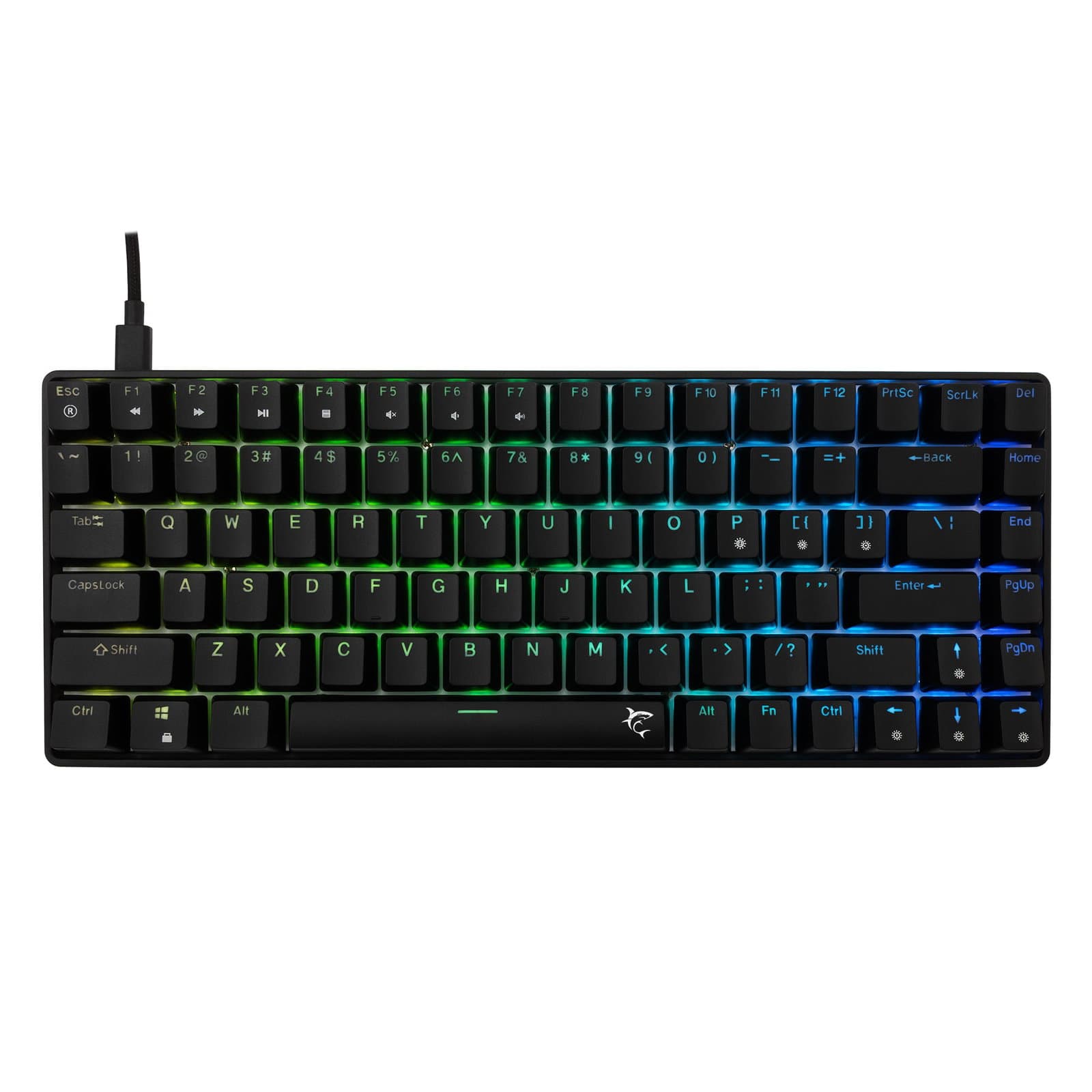 Tastiera Gaming USB 85 Tasti con Retroilluminazione LED RGB - White Shark ICSB-GK005121