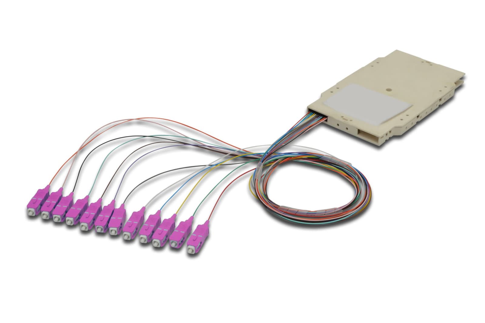 Cassetta di giunzione attrezzata con 12 pigtail fibra multimodale OM4 SC 50/125 2m - OEM ILWL PG-SC-OM4-SPC
