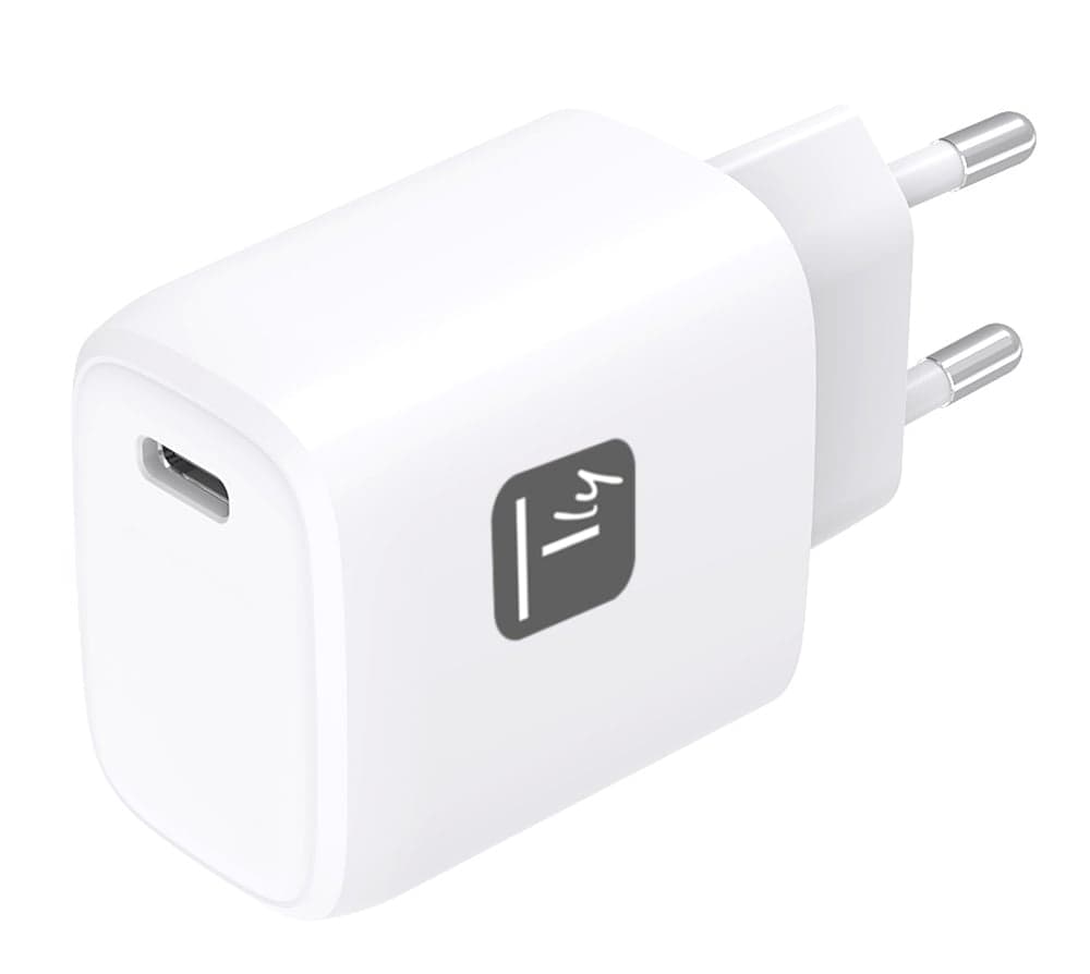 Caricatore Alimentatore GaN USB-C da Muro 20W - Techly IPW-USB-20WCG