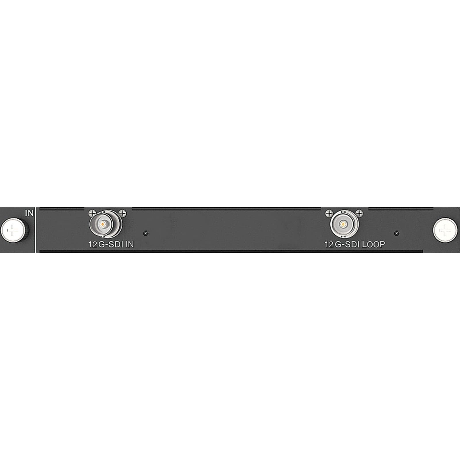 Scheda Ingresso 1x 12G-SDI - Novastar 101668