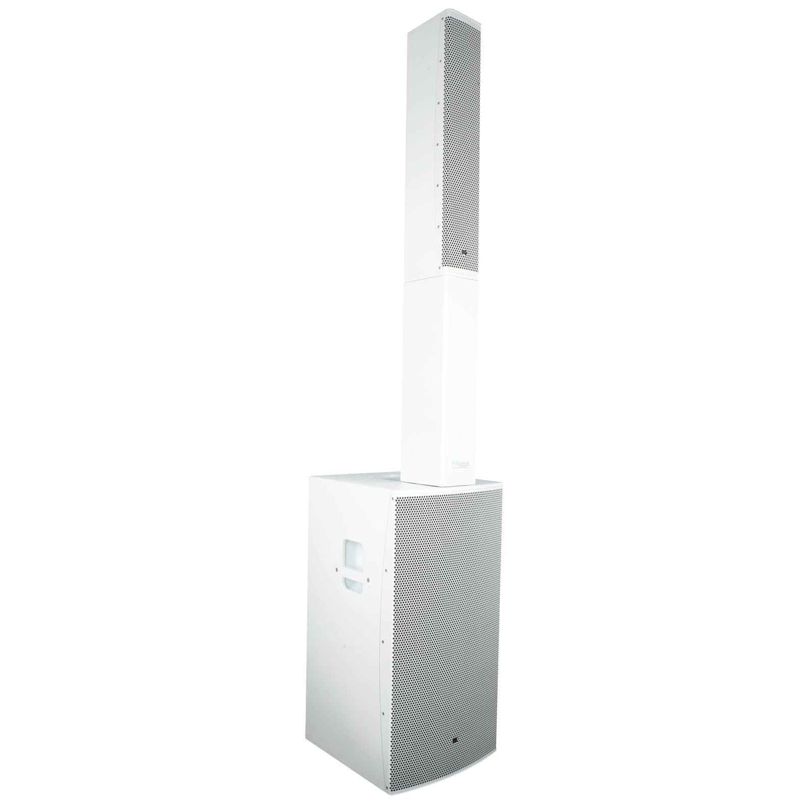 Sistema Diffusori Attivi - DAP D3881