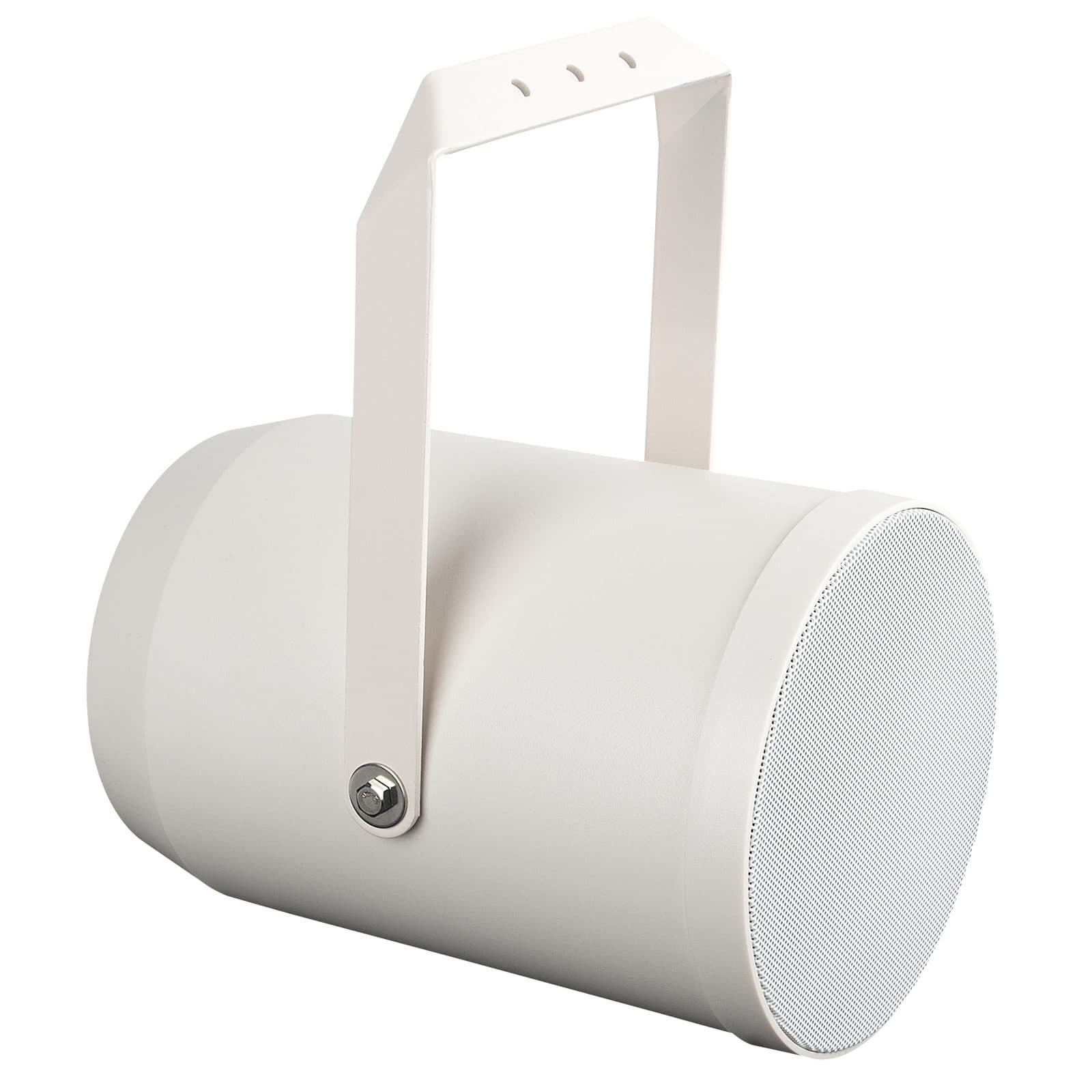 Altoparlante unidirezionale 6" - DAP D6551