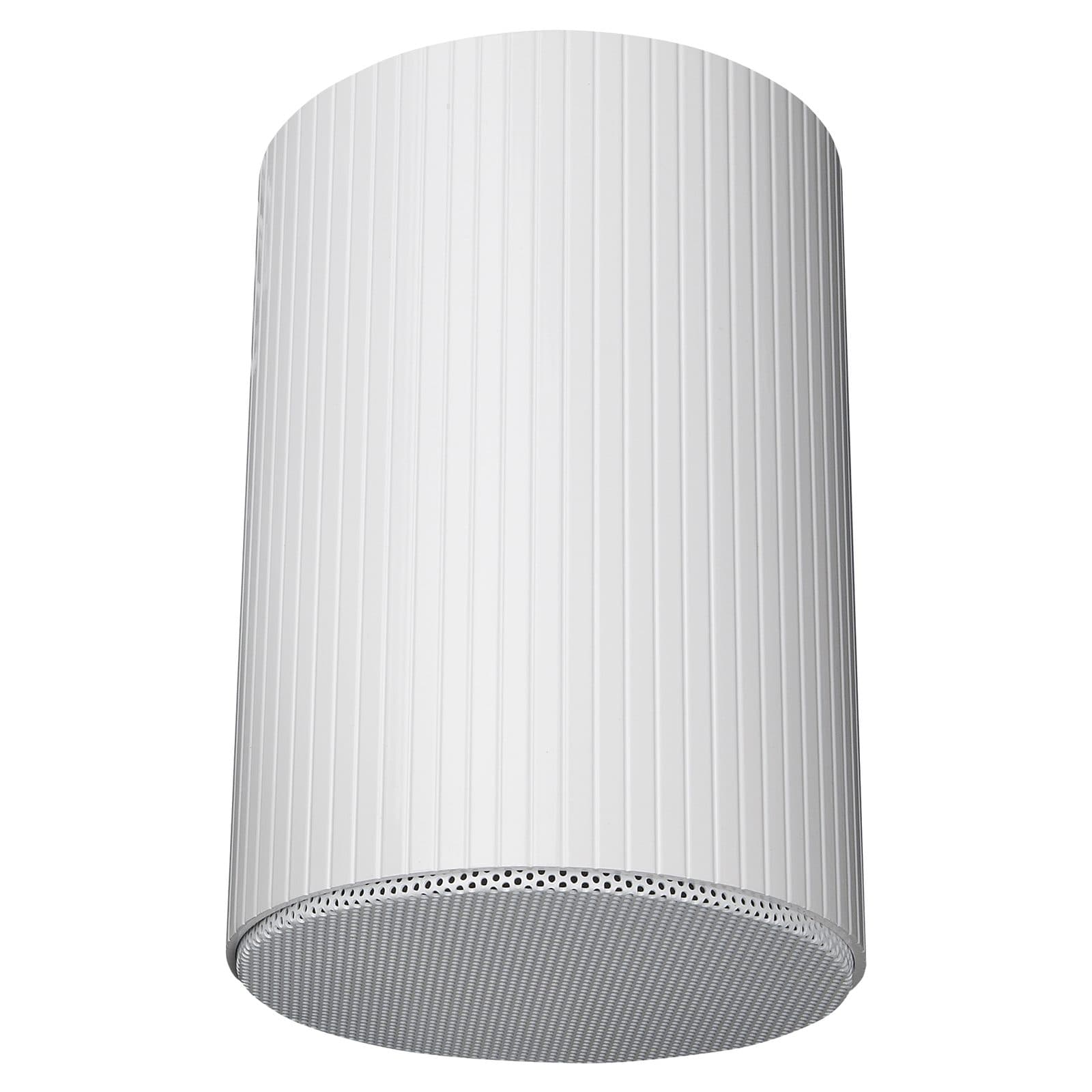 Altoparlante da soffitto 6" - DAP D6567