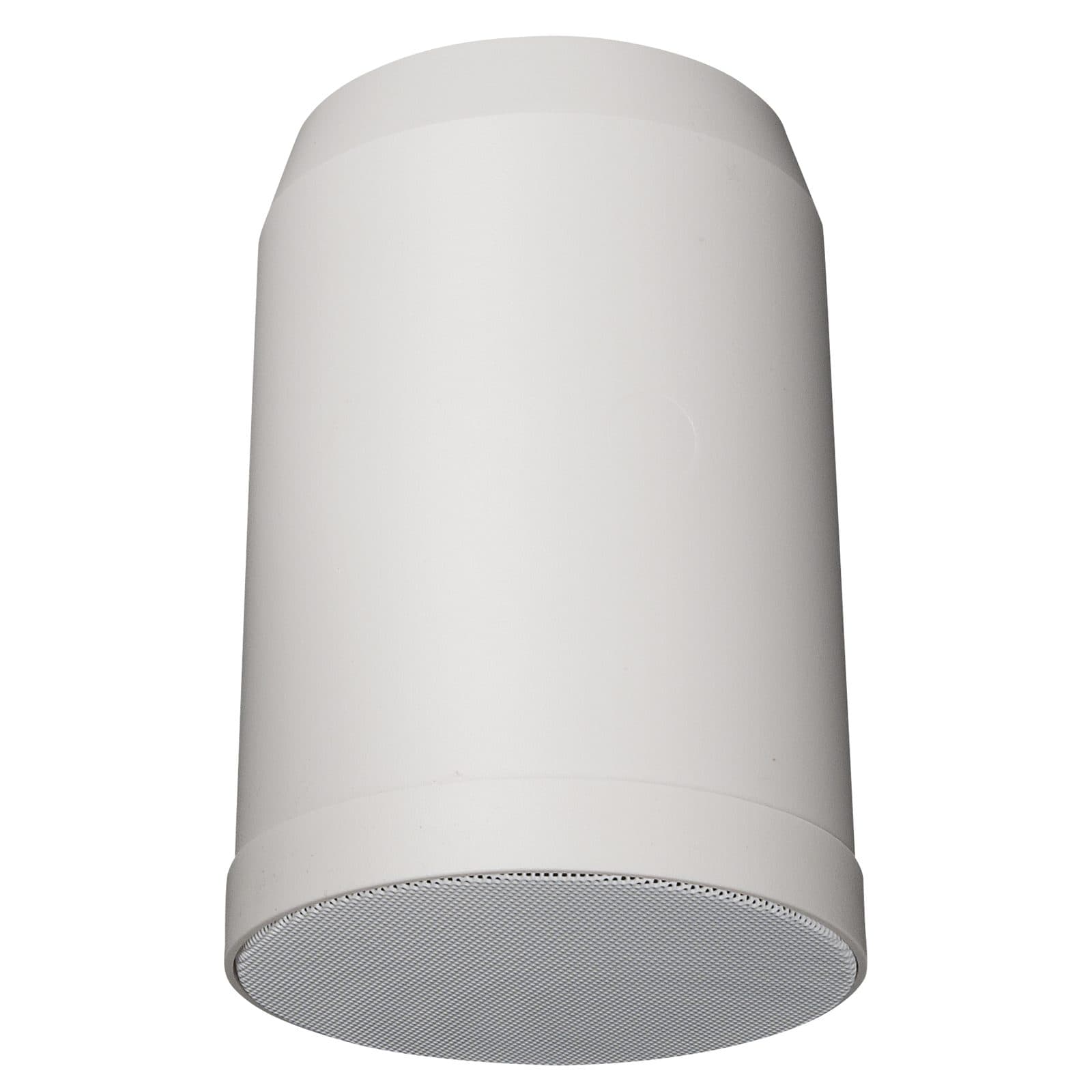 Altoparlante da soffitto DAP D6568