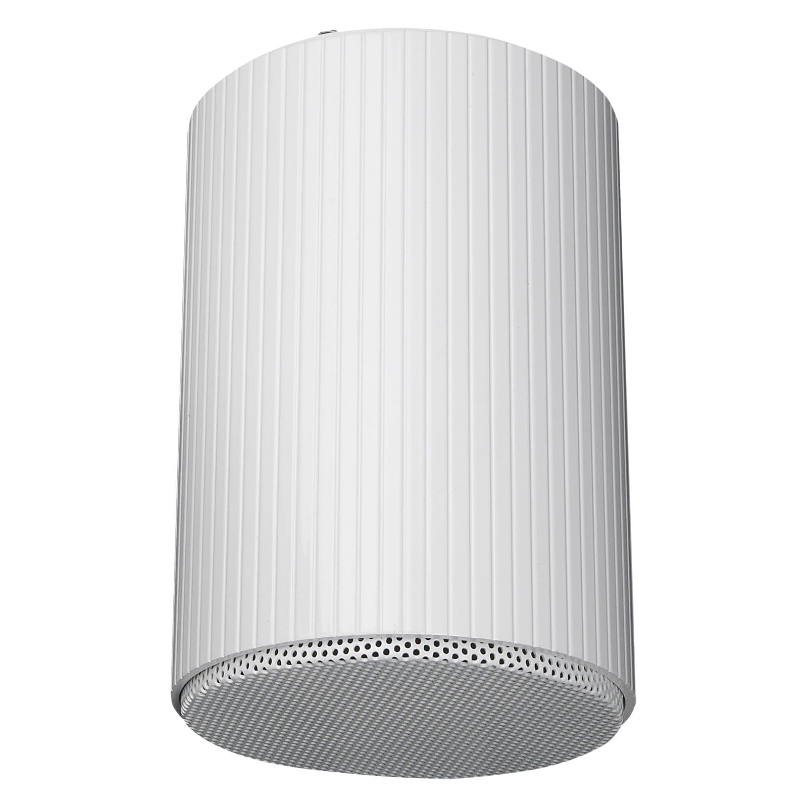 Altoparlante da soffitto DAP D6569