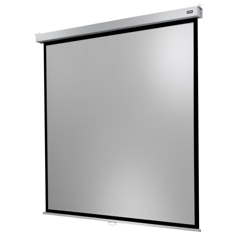 Supporto fisso display 42-100" Professional Plus Fixed-42100p - CELEXON CEL-1090777