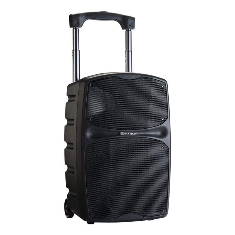 Diffusore attivo portatile 2 vie 120W RMS a batteria Bluetooth 5.0 - Audiophony HIT-H11666